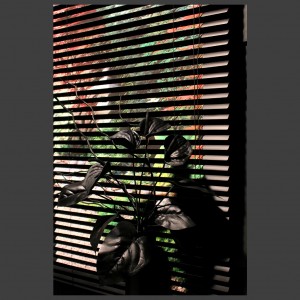 Peter Banks Blind View 1 - 10