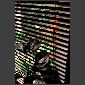 Peter Banks Blind View 1 - 14