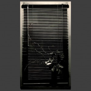 Peter Banks Blind View 1 - 6
