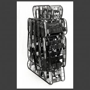 Peter Banks Chair Woman 1 - 3